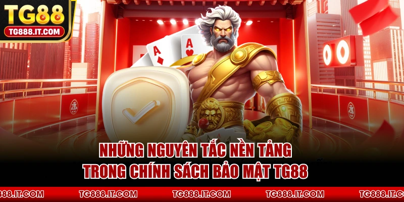 Những Nguyên Tắc Nền Tảng Trong Chính Sách Bảo Mật TG88